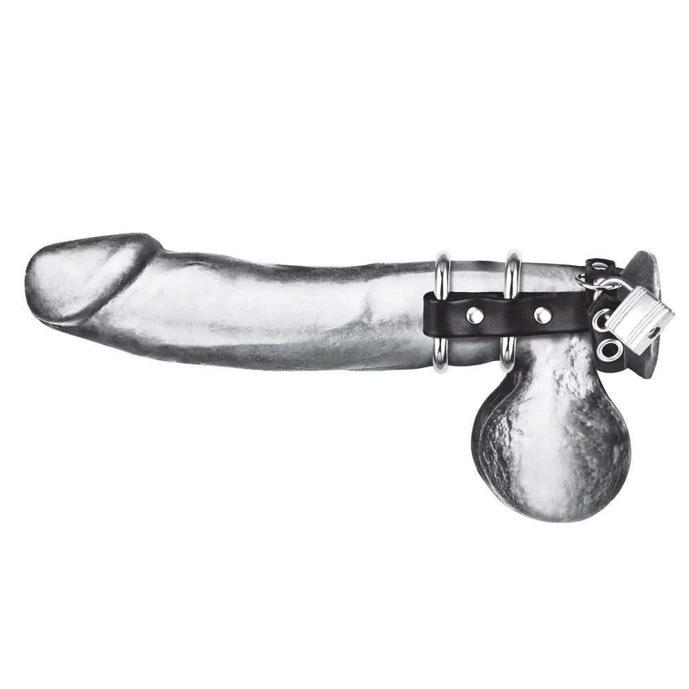 Double Metal Cock Ring with Locking Ball Strap